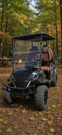 2026 Future 60V Street-Ready 4-Seater, photo 5 of 6