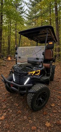 2026 Future 60V Street-Ready 4-Seater, photo 4 of 6