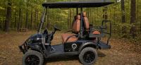 2026 Future 60V Street-Ready 4-Seater, photo 3 of 6