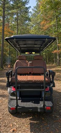 2026 Future 60V Street-Ready 4-Seater, photo 6 of 6